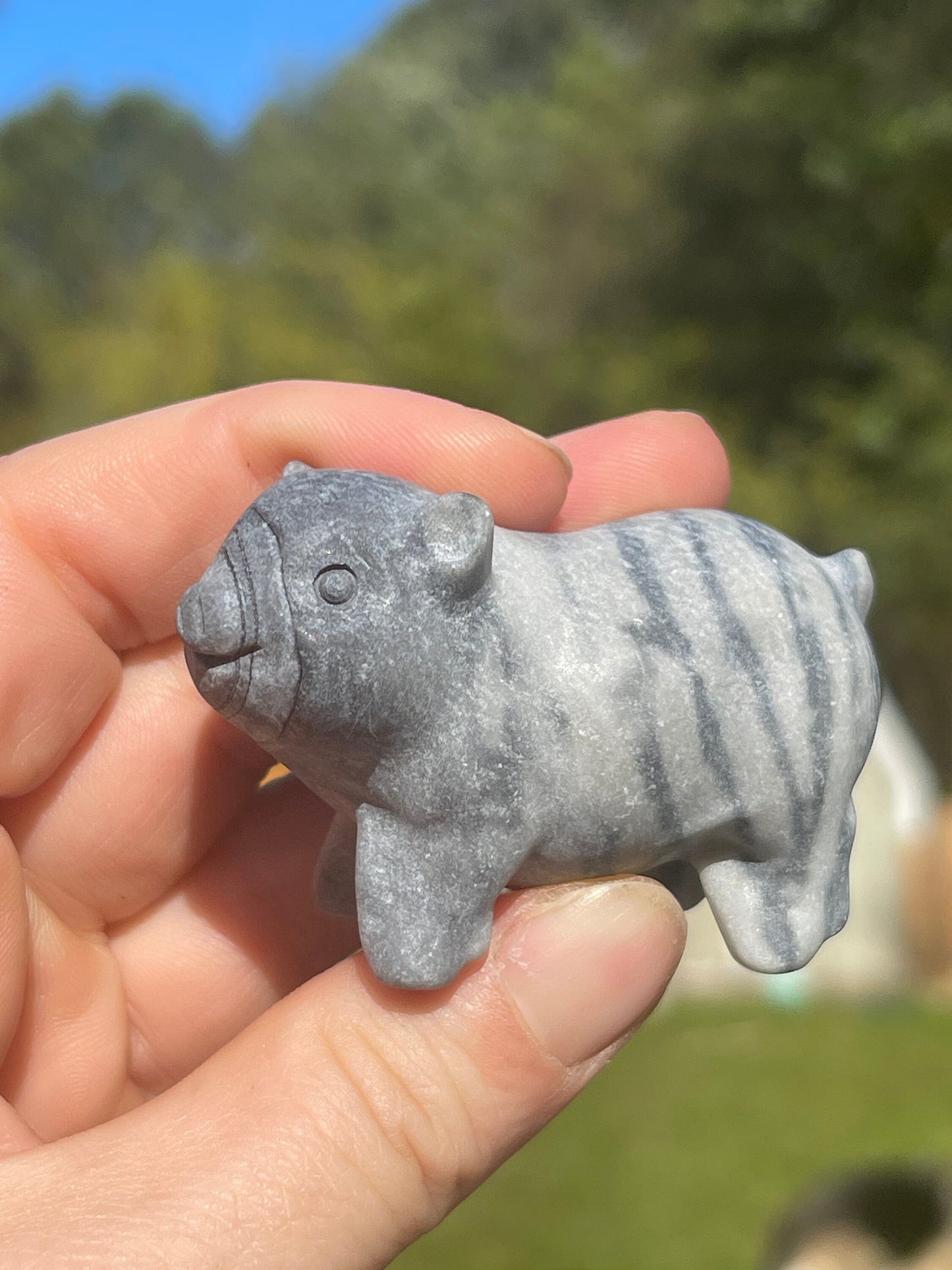 Tai Chi Jasper Pig Carving