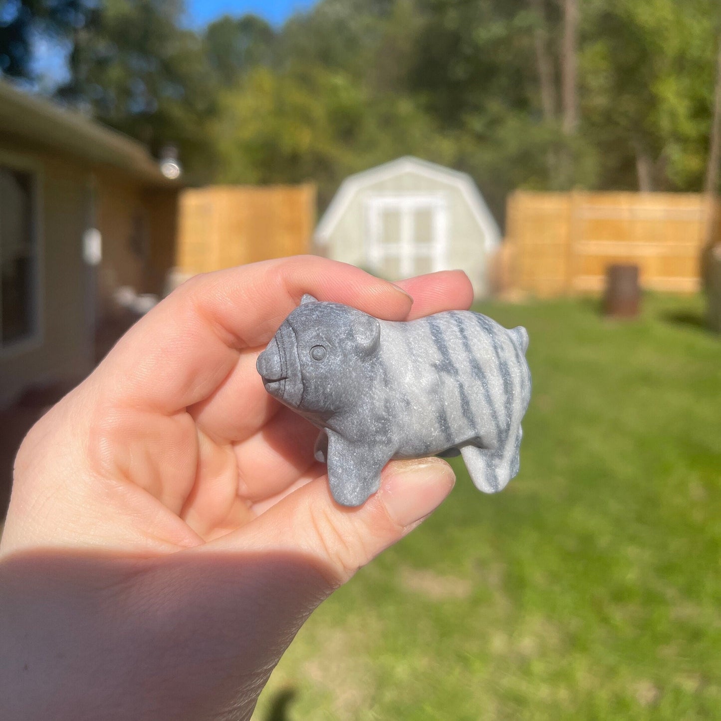 Tai Chi Jasper Pig Carving