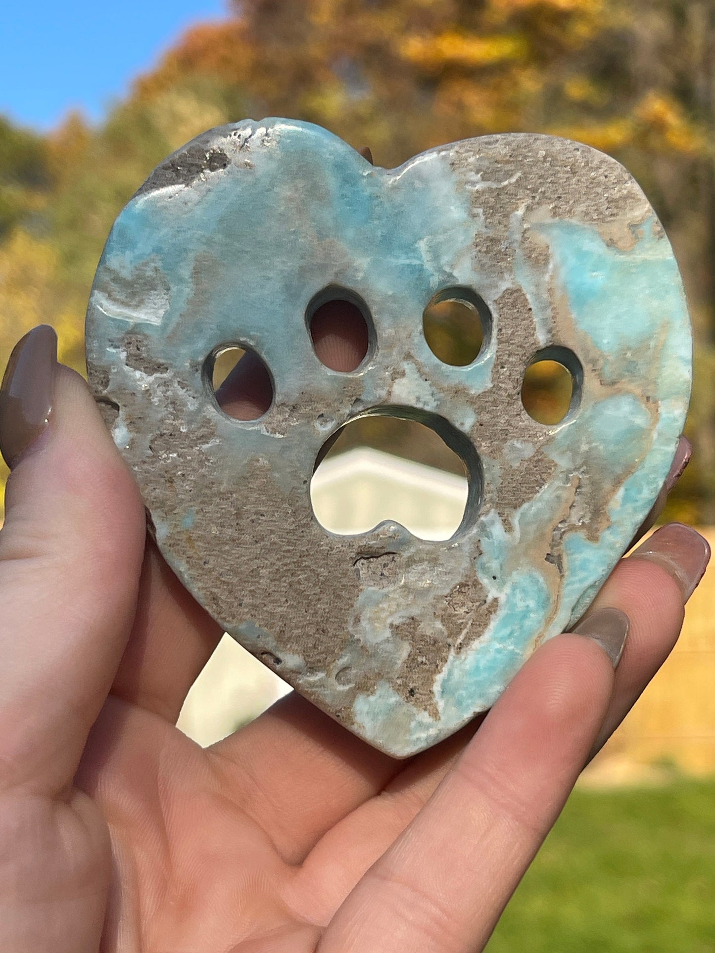 Blue Aragonite Crystal Heart Cat Paw Carving