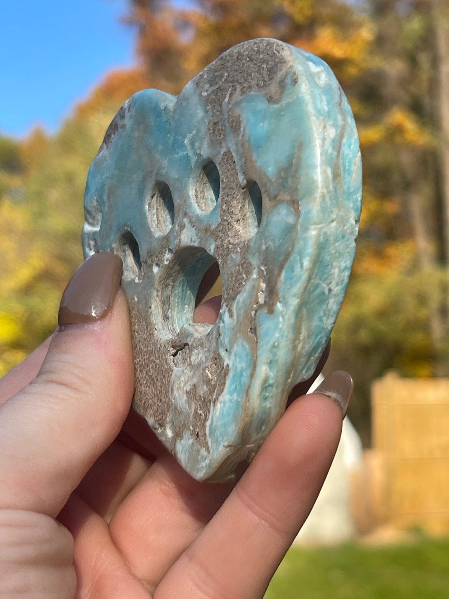 Blue Aragonite Crystal Heart Cat Paw Carving