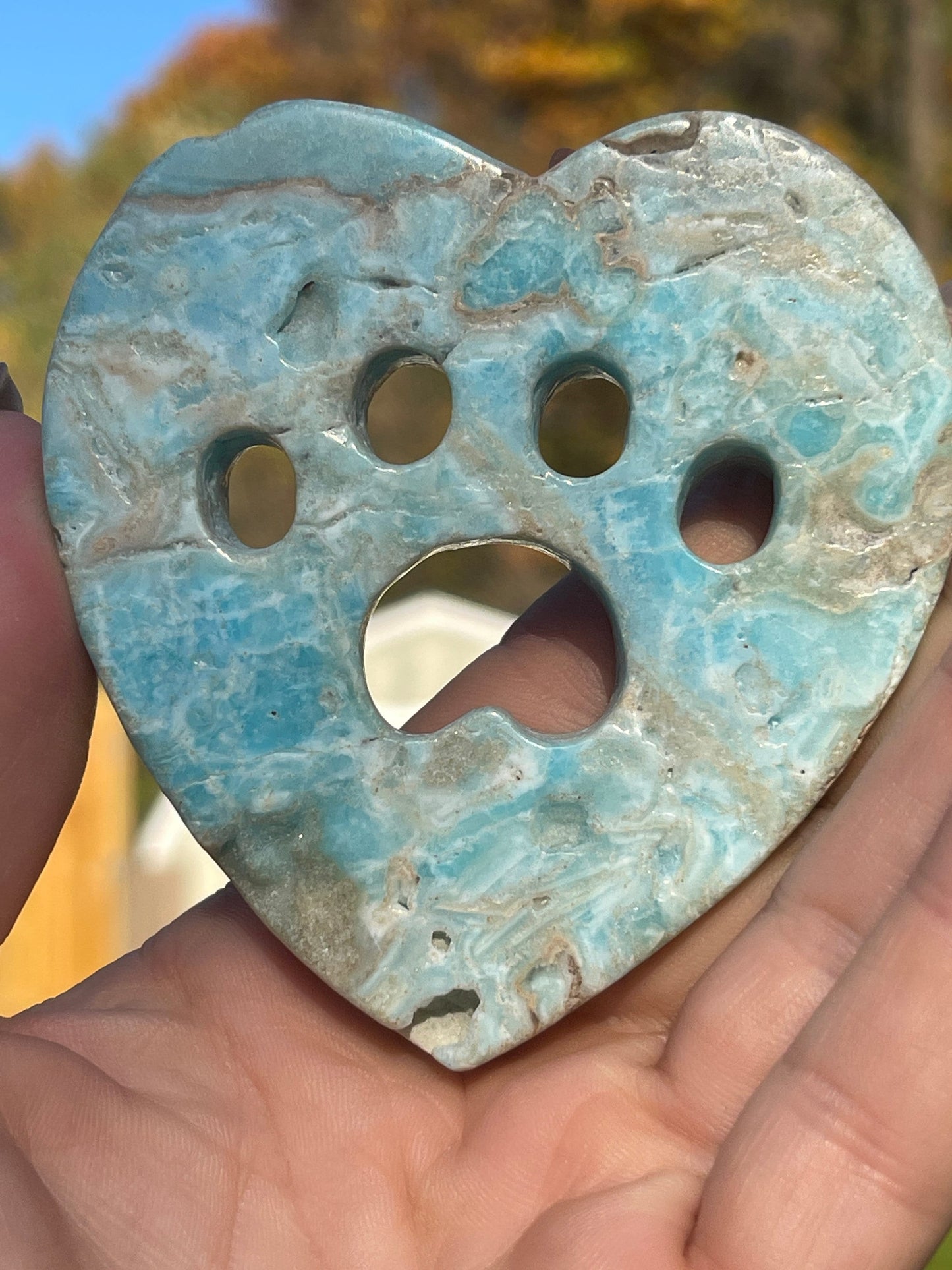 Blue Aragonite Crystal Heart Cat Paw Carving