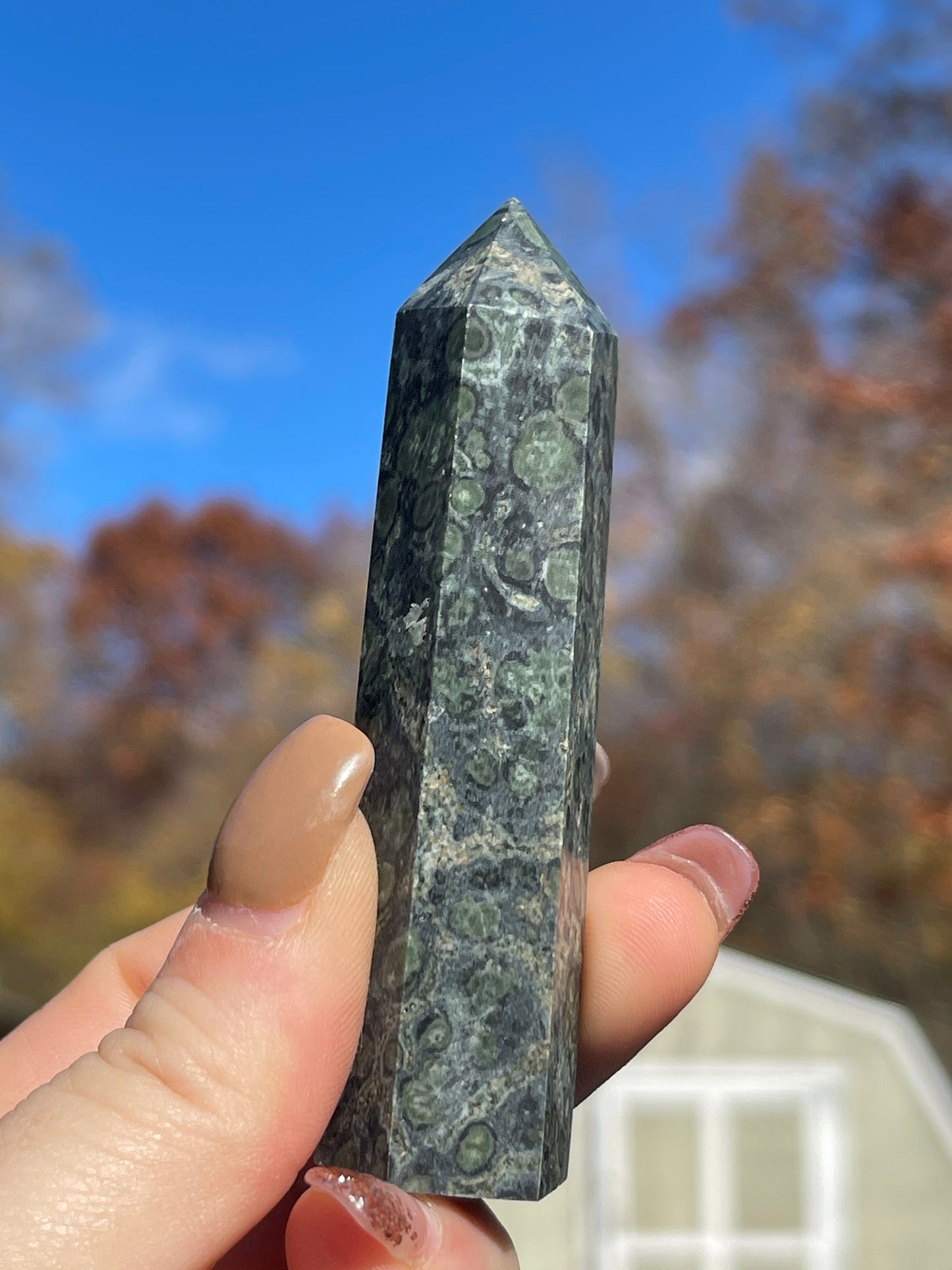 Kambaba Jasper Tower- Reiki Healing, Crystal Gifts