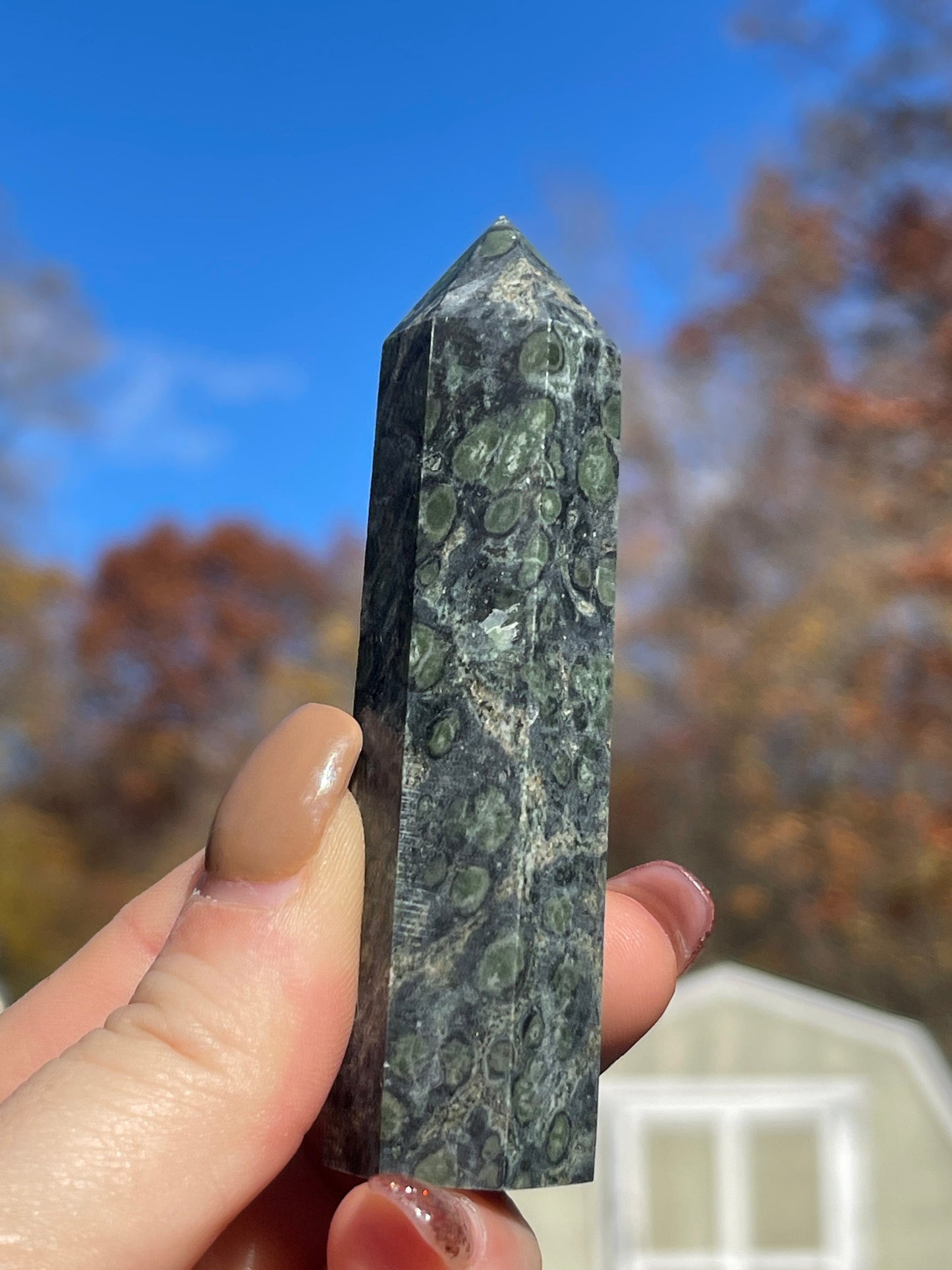 Kambaba Jasper Tower- Reiki Healing, Crystal Gifts