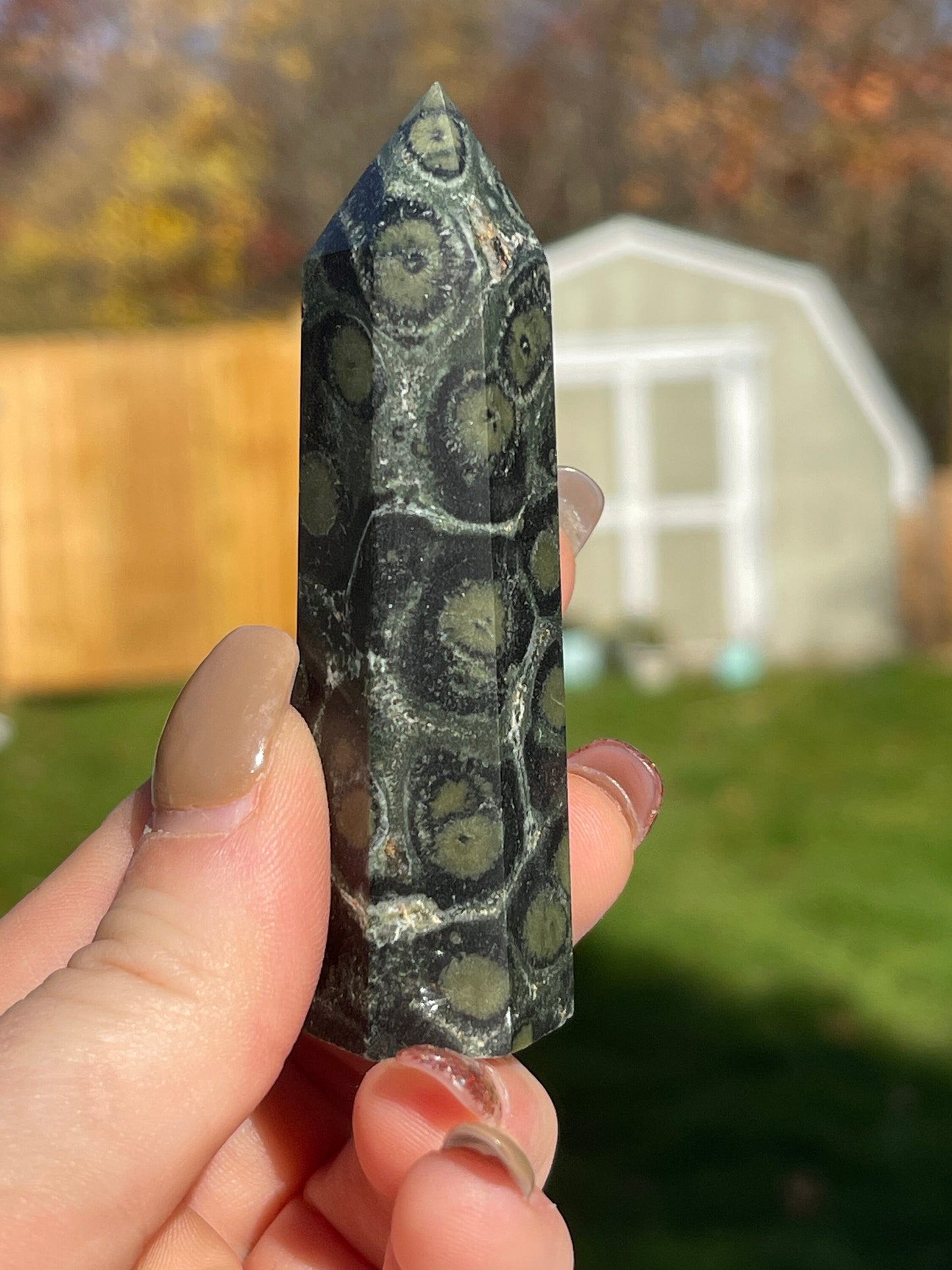 Kambaba Jasper Crystal Point Tower