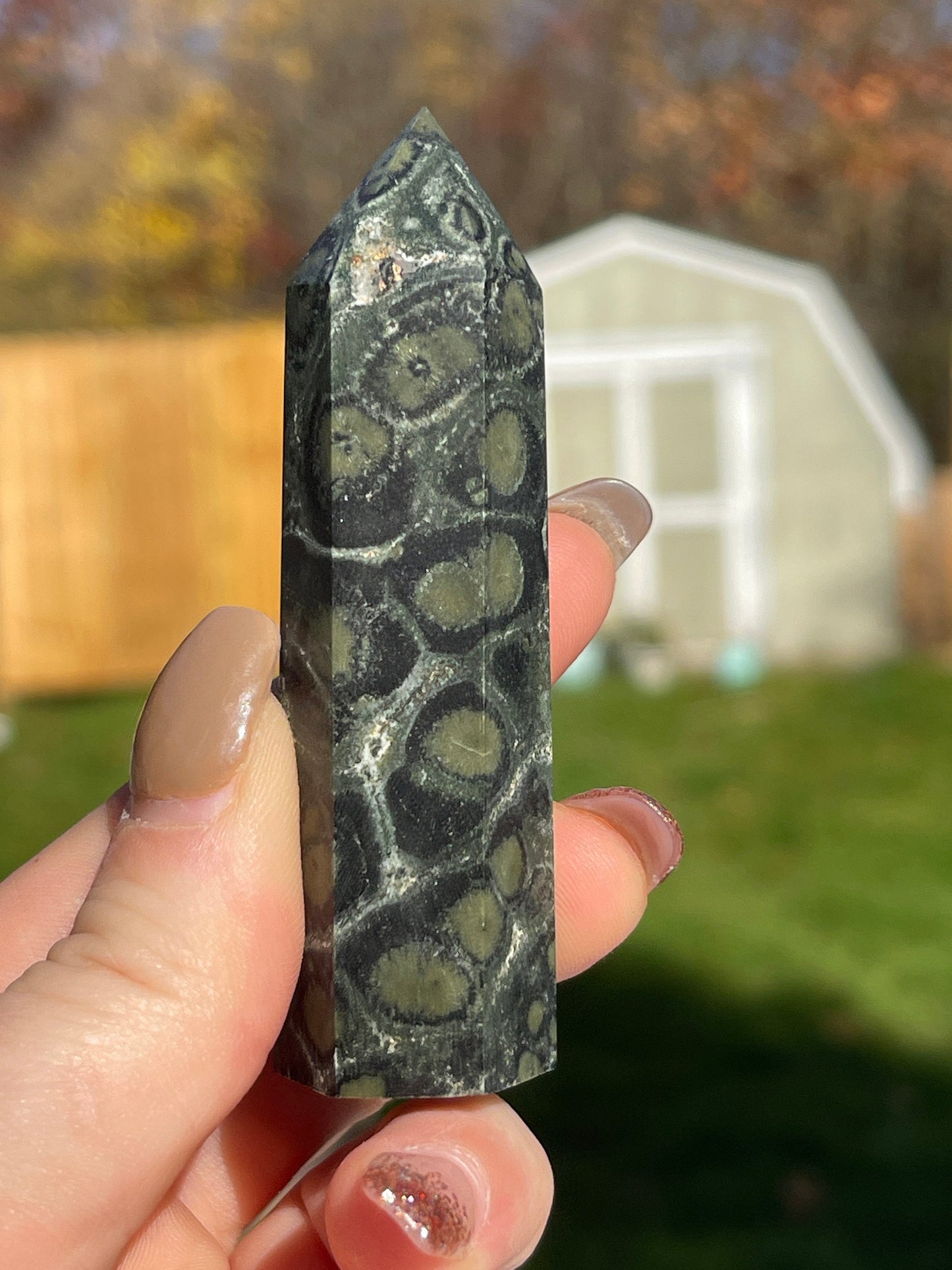 Kambaba Jasper Crystal Point Tower