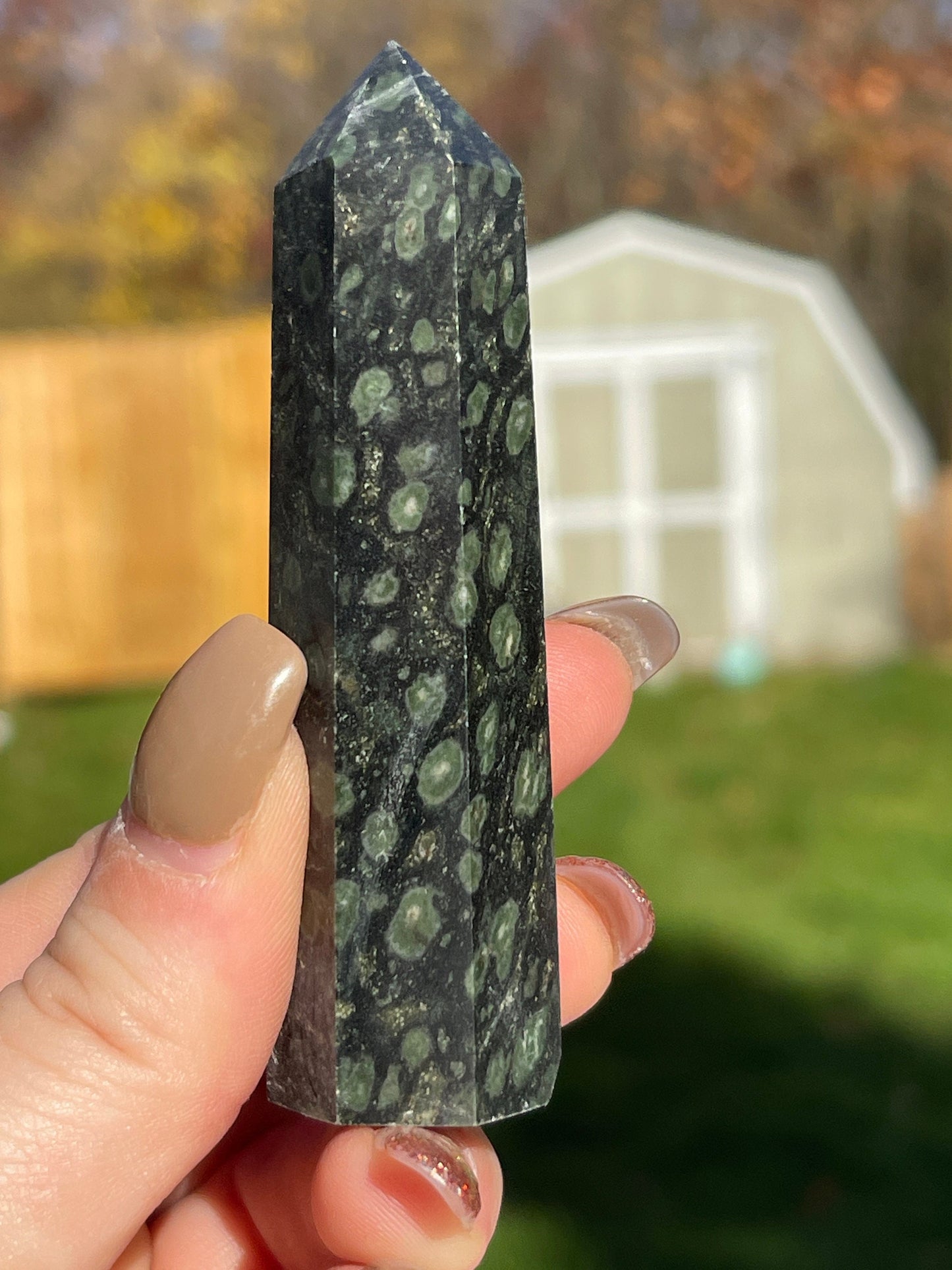 Kambaba Jasper Crystal Tower