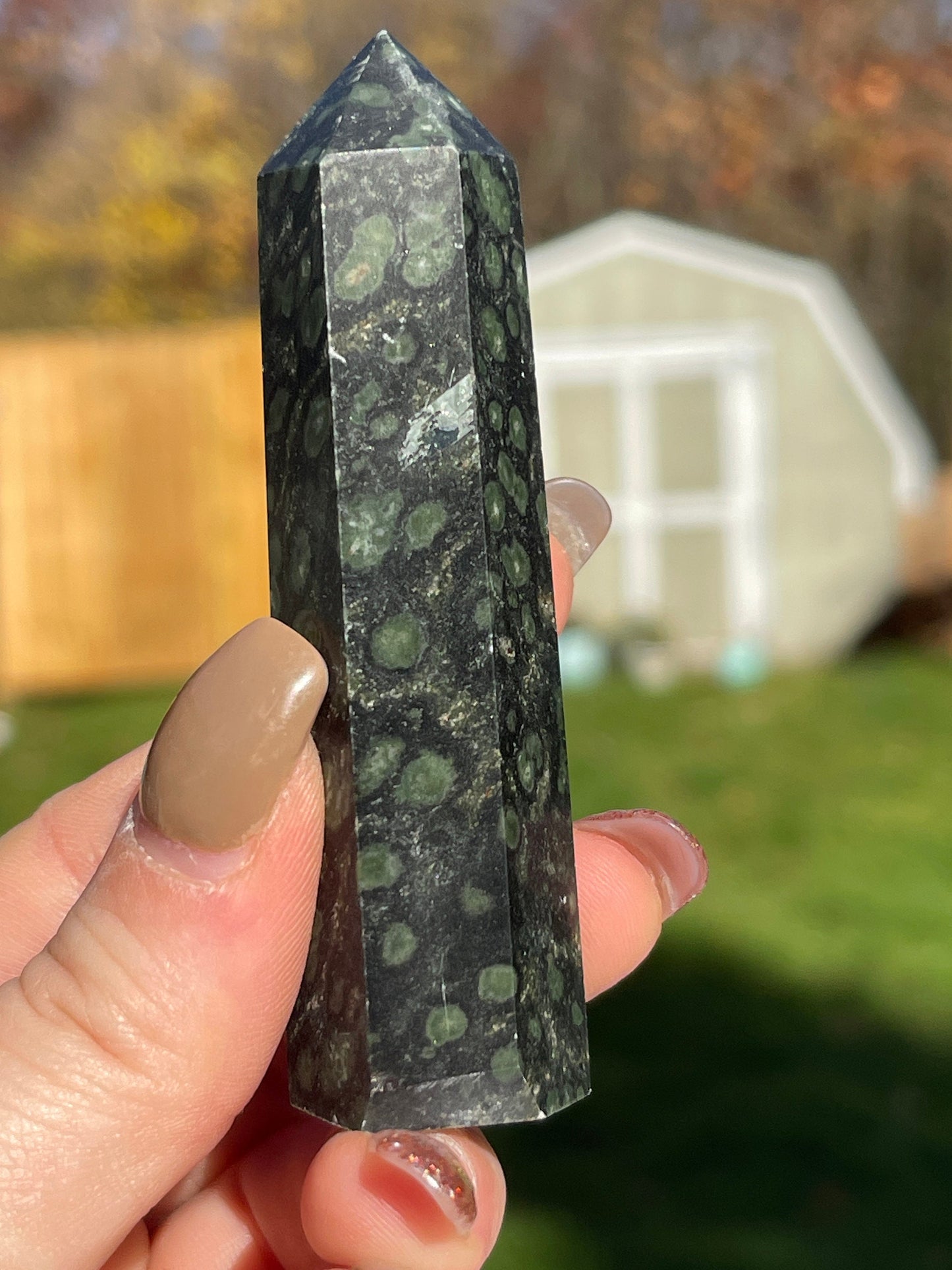 Kambaba Jasper Crystal Tower