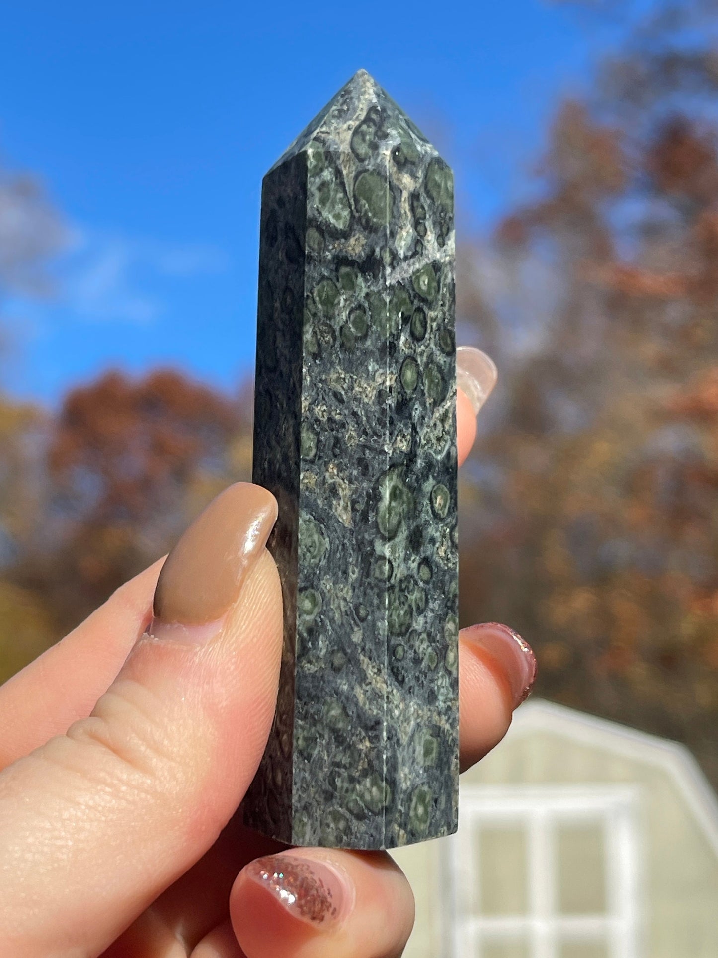 Kambaba Jasper Tower- Reiki Healing, Crystal Gifts