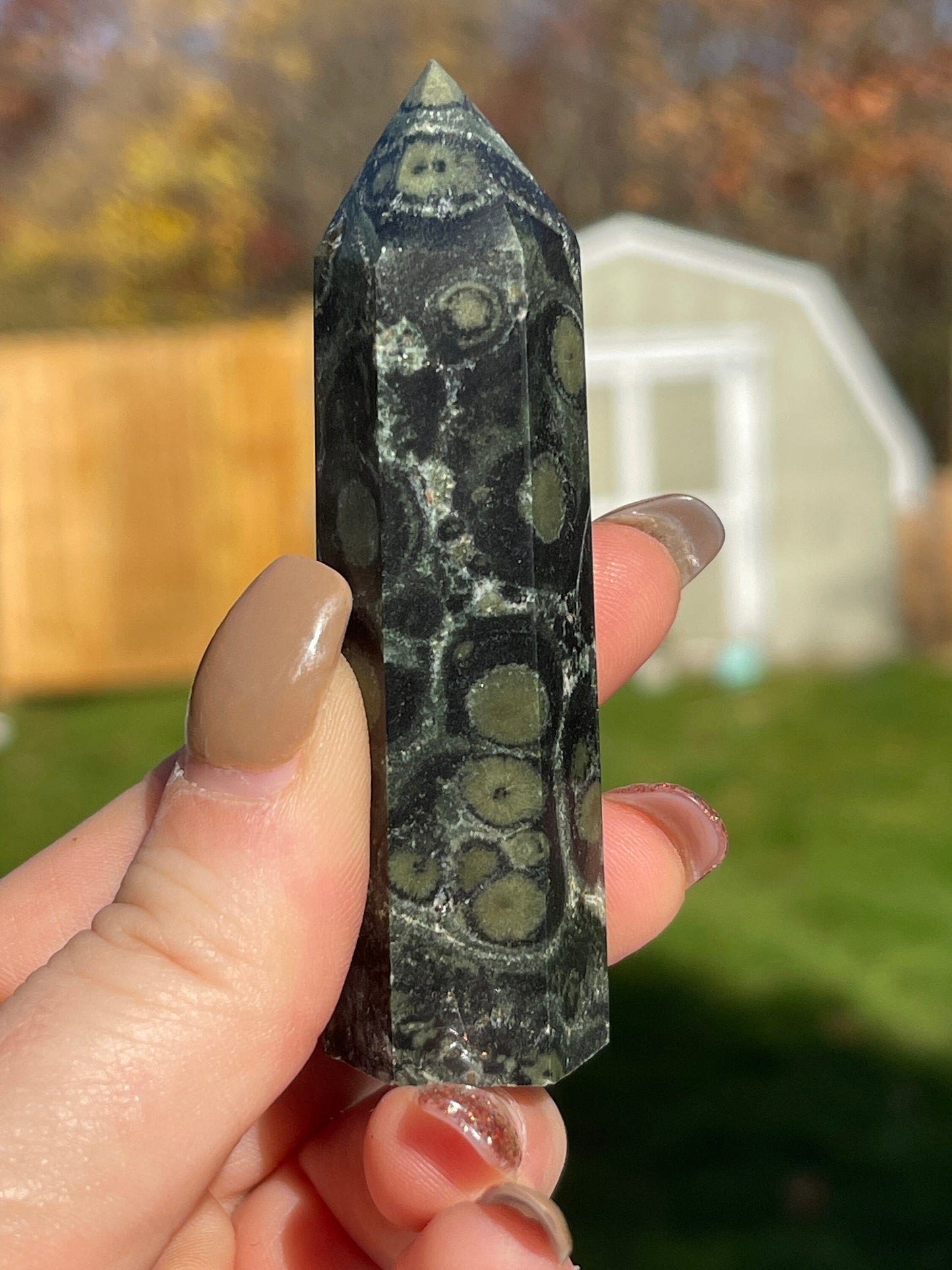 Kambaba Jasper Crystal Point Tower