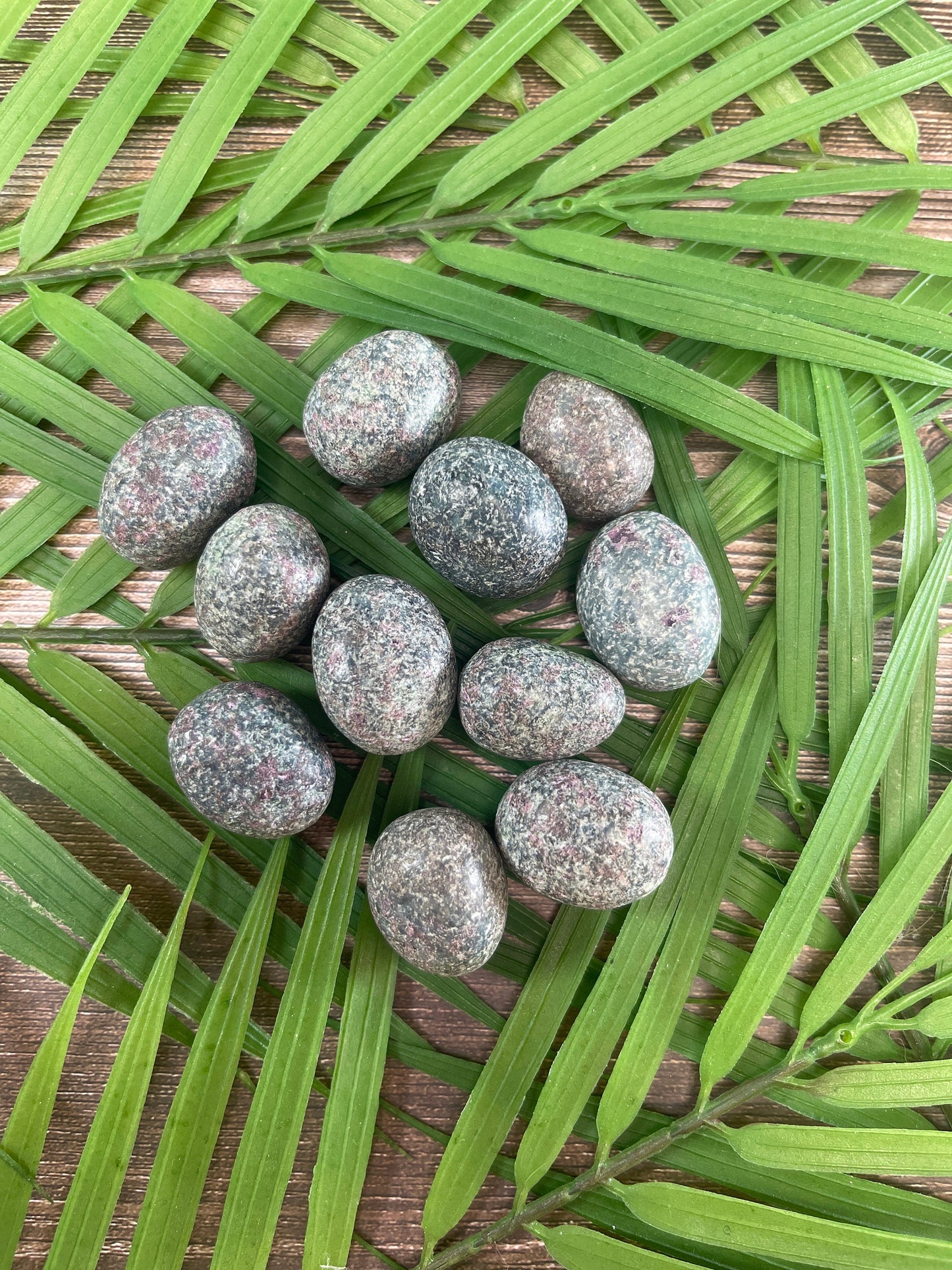 Ruby in Kyanite Tumbled Stone: Pocket Crystal Gift