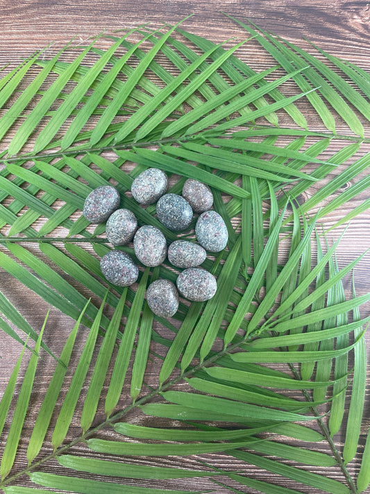 Ruby in Kyanite Tumbled Stone: Pocket Crystal Gift
