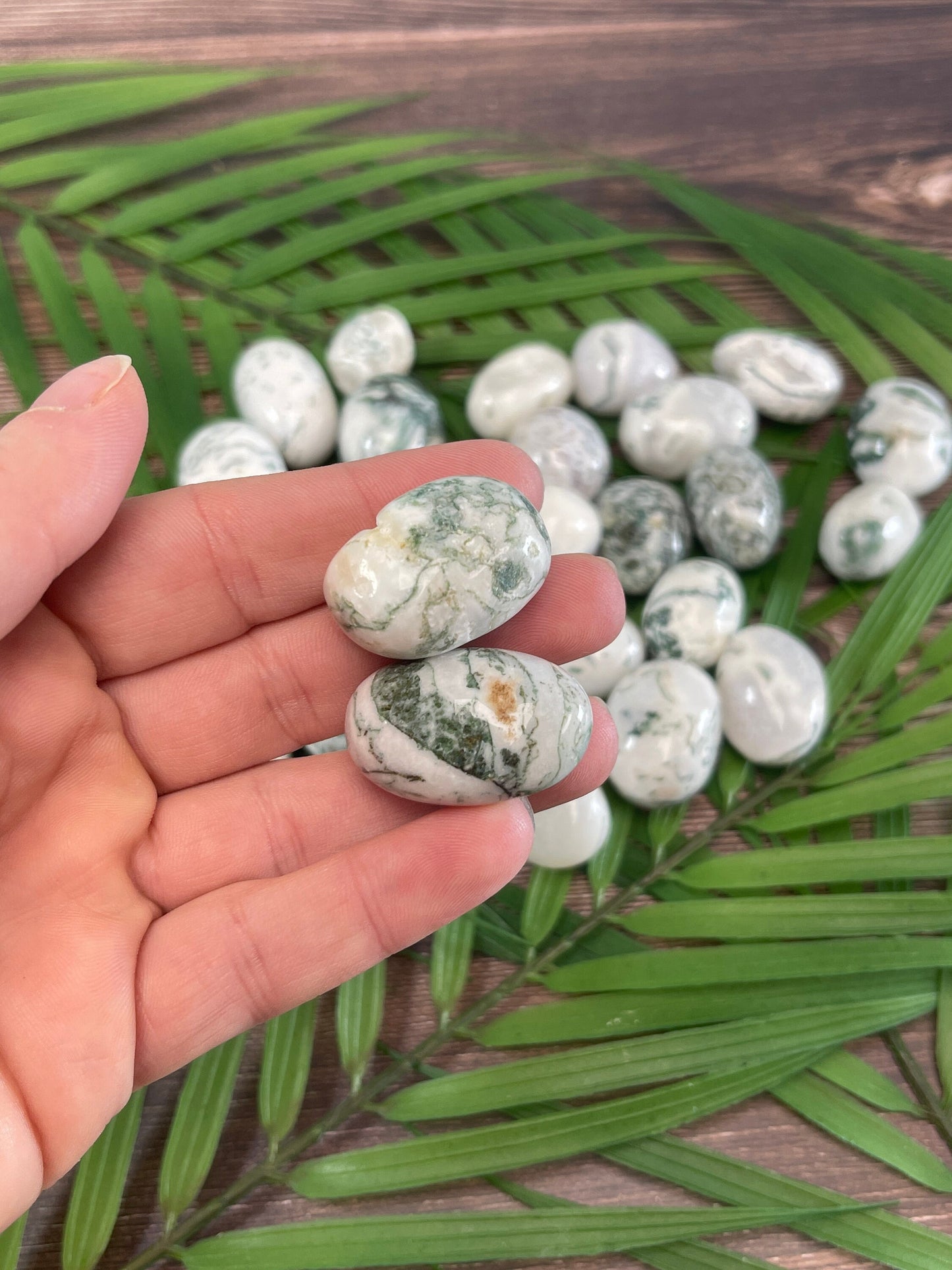 Tree Agate Tumbled Stone: Pocket Crystal for Grounding