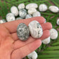 Tree Agate Tumbled Stone: Pocket Crystal for Grounding
