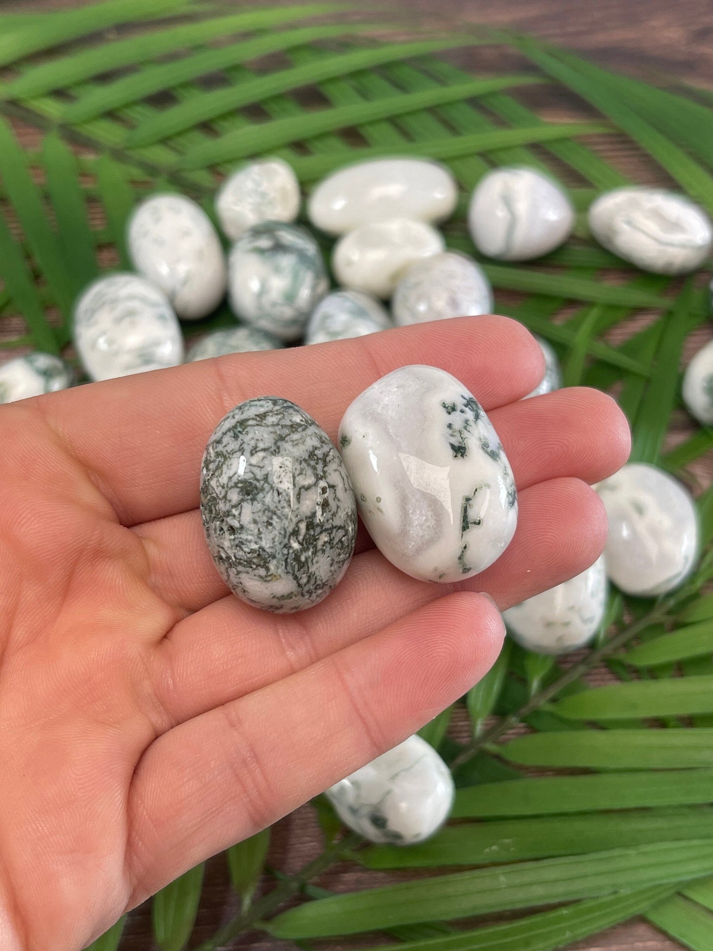 Tree Agate Tumbled Stone: Pocket Crystal for Grounding