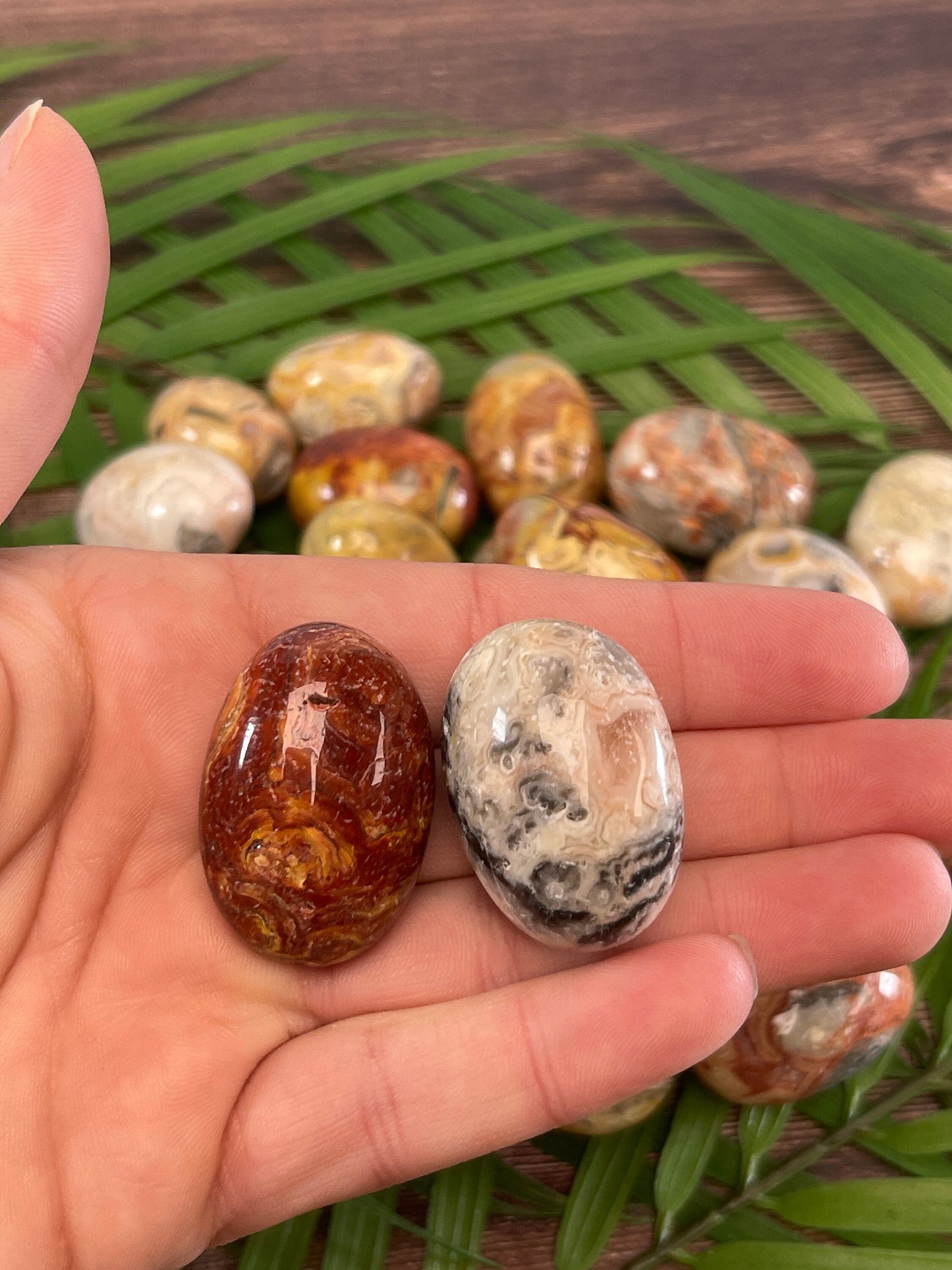 Crazy Lace Agate Tumbled Stone