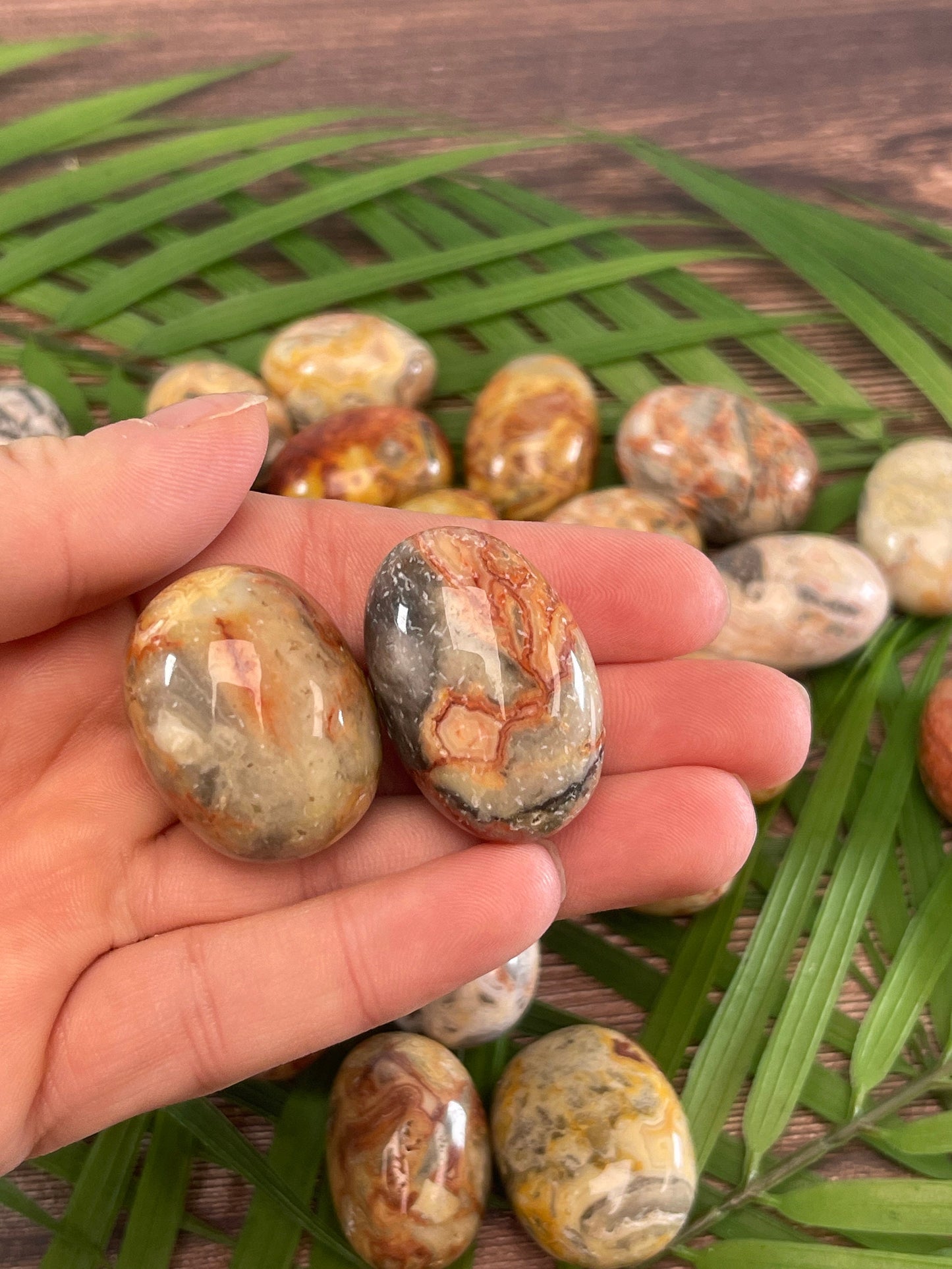 Crazy Lace Agate Tumbled Stone