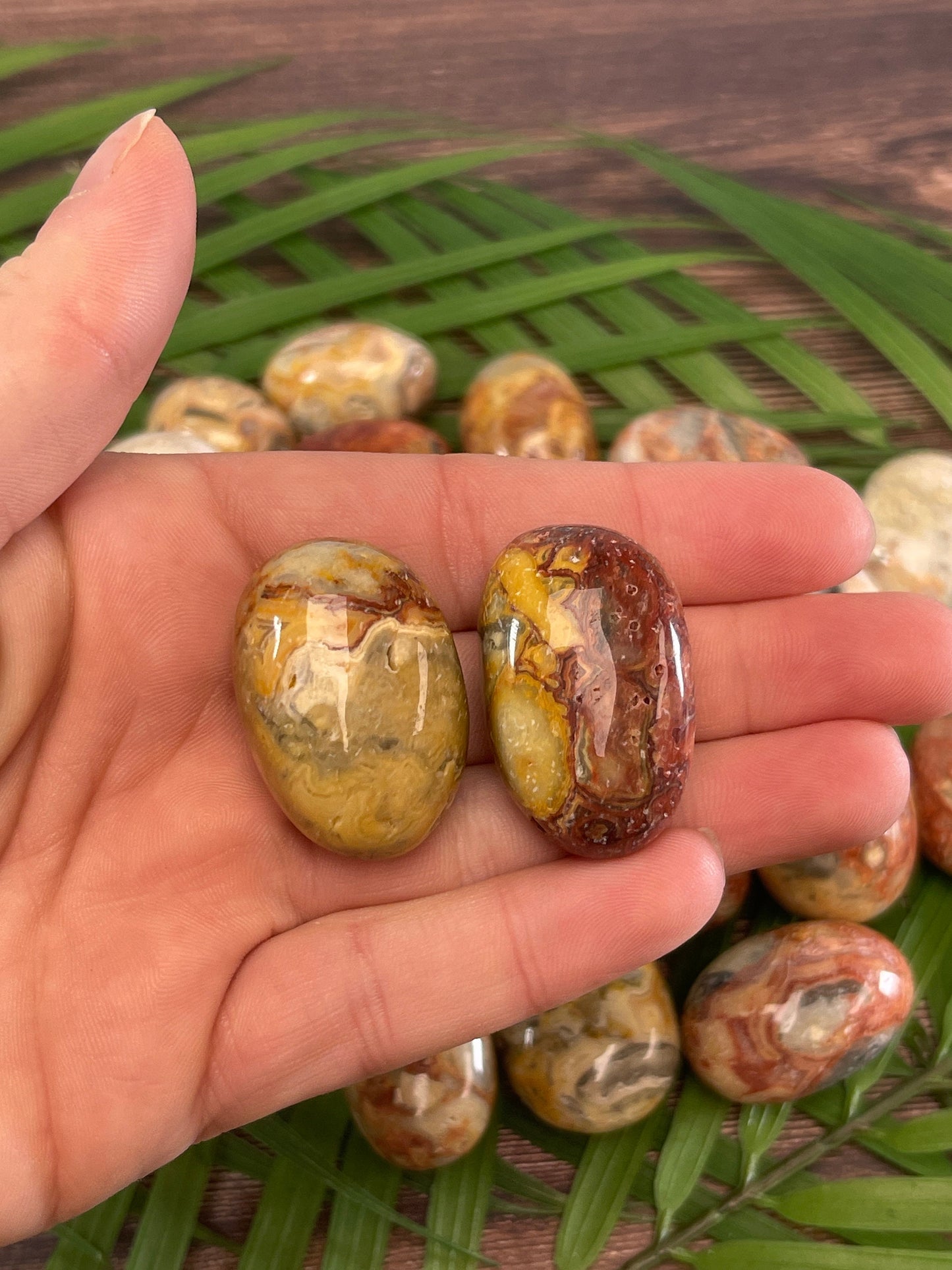 Crazy Lace Agate Tumbled Stone