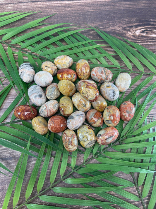 Crazy Lace Agate Tumbled Stone