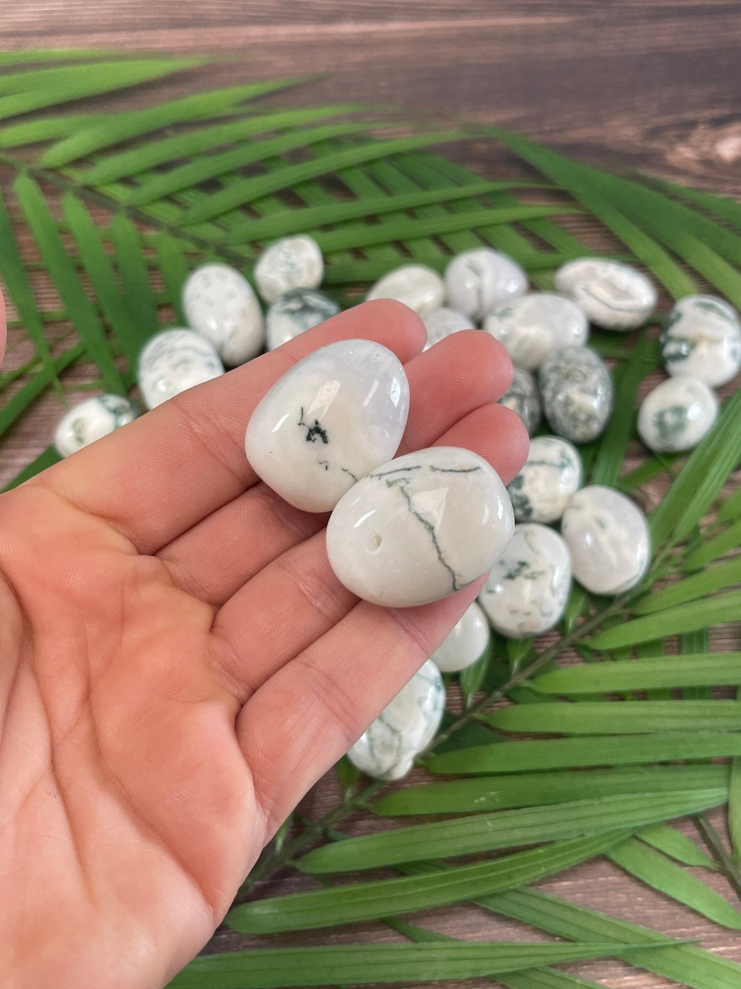 Tree Agate Tumbled Stone: Pocket Crystal for Grounding