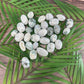 Tree Agate Tumbled Stone: Pocket Crystal for Grounding