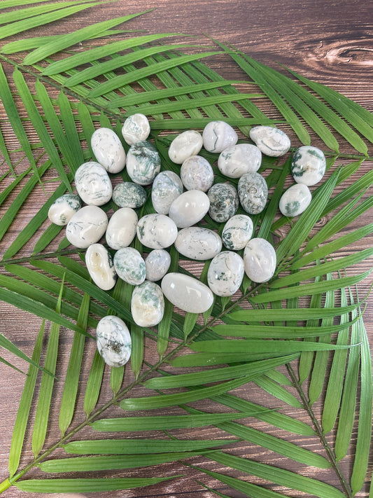 Tree Agate Tumbled Stone: Pocket Crystal for Grounding
