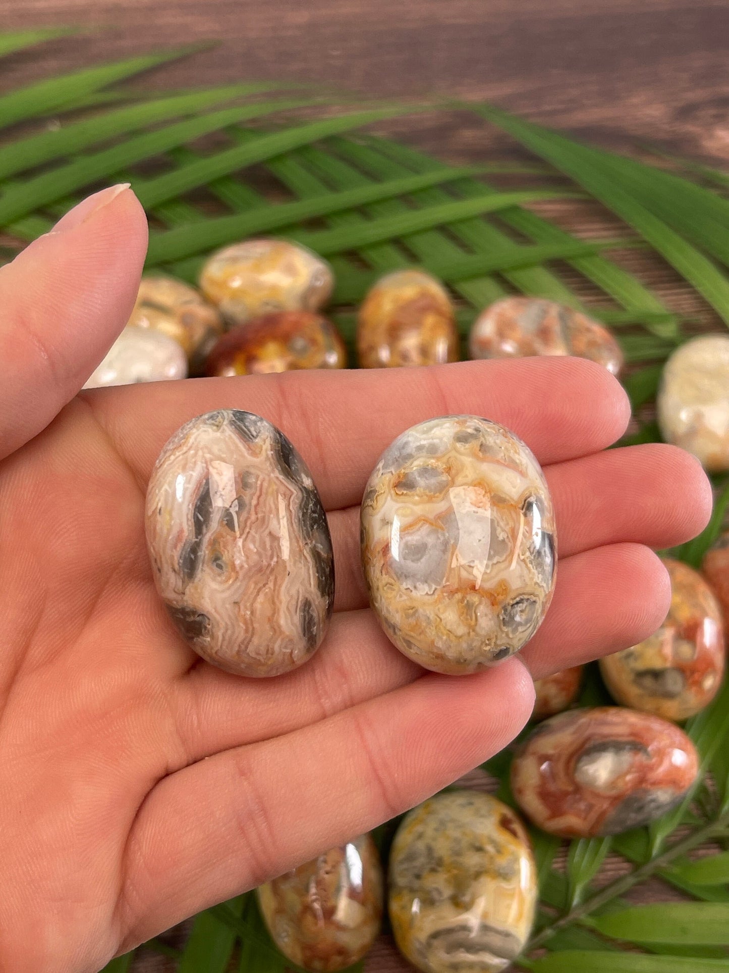 Crazy Lace Agate Tumbled Stone