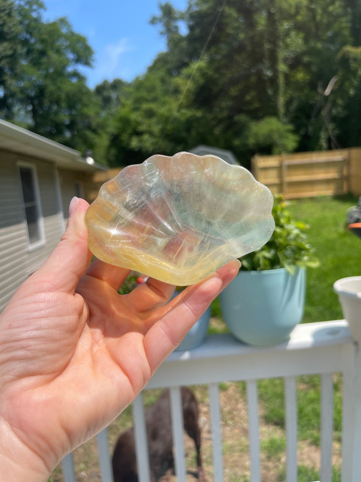Fluorite Shell Bowl Carving: Healing Crystal, Cleansing & Balance