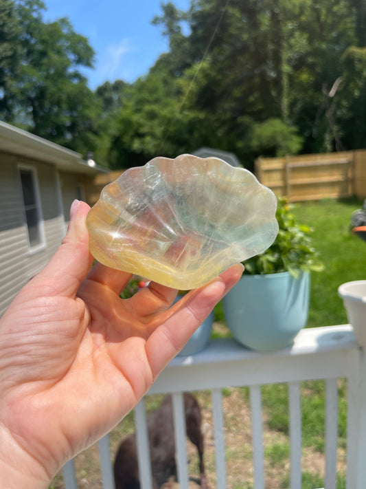 Fluorite Shell Bowl Carving: Healing Crystal, Cleansing & Balance