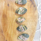 Ocean Jasper Cabochon