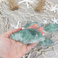 Fluorite Sea Shell Carving