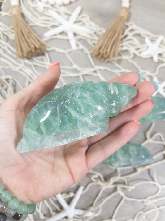 Fluorite Sea Shell Carving
