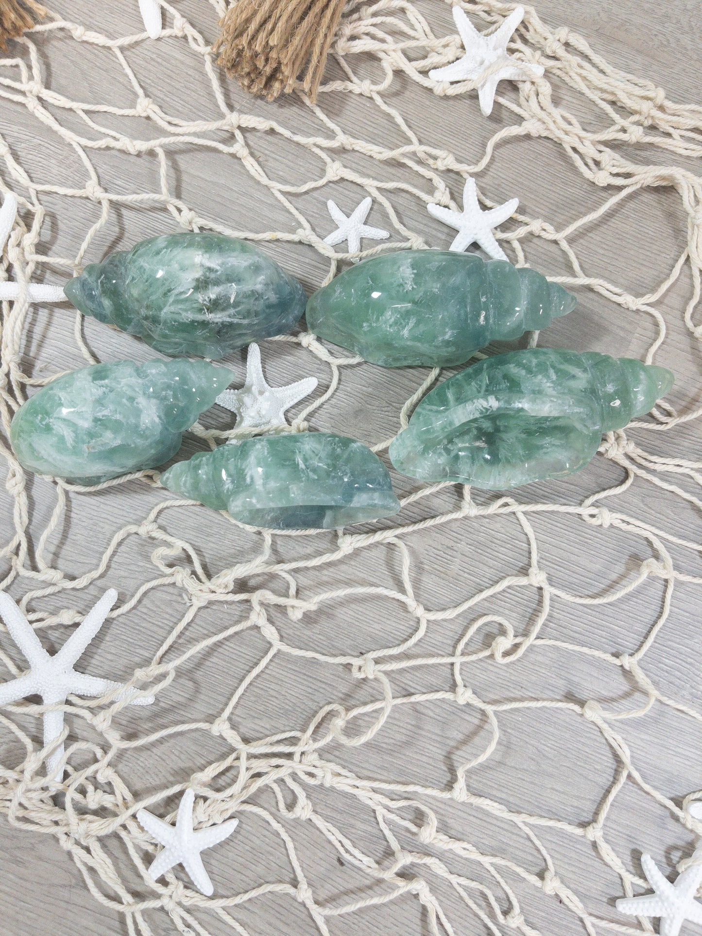 Fluorite Sea Shell Carving