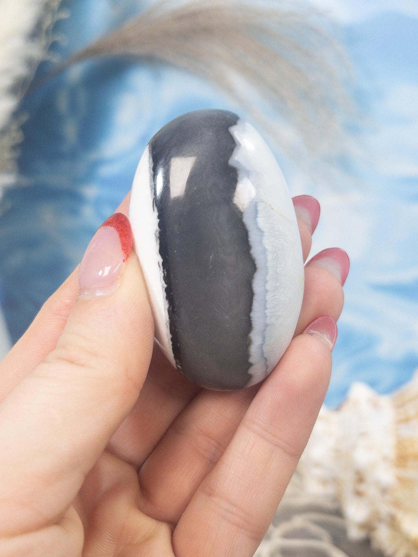 Blue Owyhee Opal Palm Stone