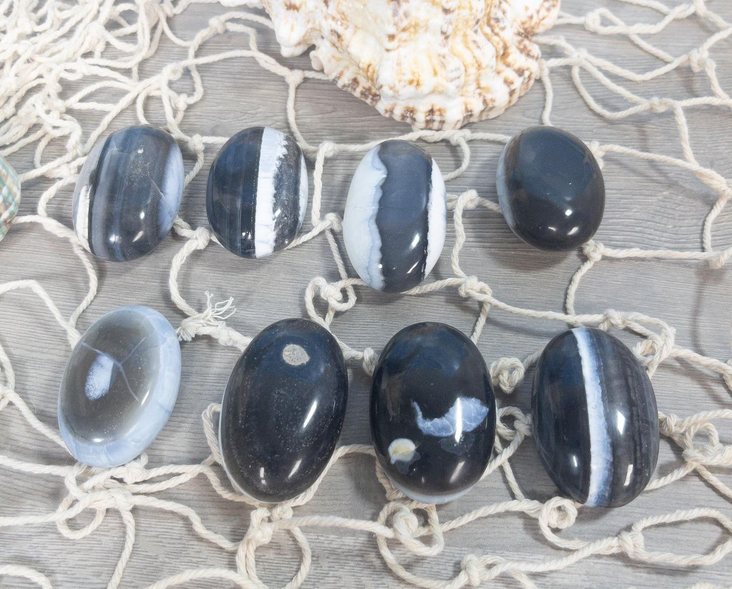 Blue Owyhee Opal Palm Stone