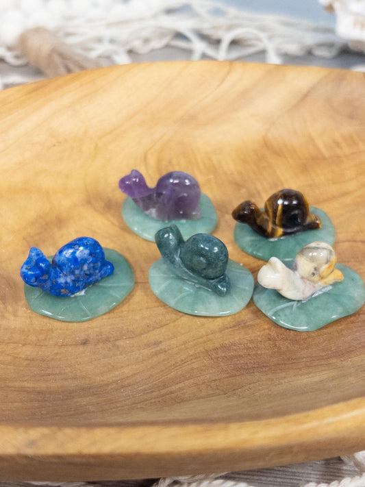 1 Intuitively Chosen Crystal Snail Carving