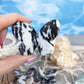 Zebra calcite 3D butterfly carving
