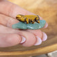 Intuitively chosen Lizard Carving