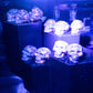 1 Small Yooperlite UV reactive Skull Carving