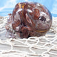 Mexican Agate Crystal Skull Carving with Druzy