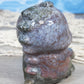 Ocean Jasper Baby Dino Carving