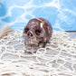 Mexican Agate Crystal Skull Carving with Druzy