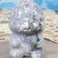 Druzy Moss Agate Baby Dinosaur Carving